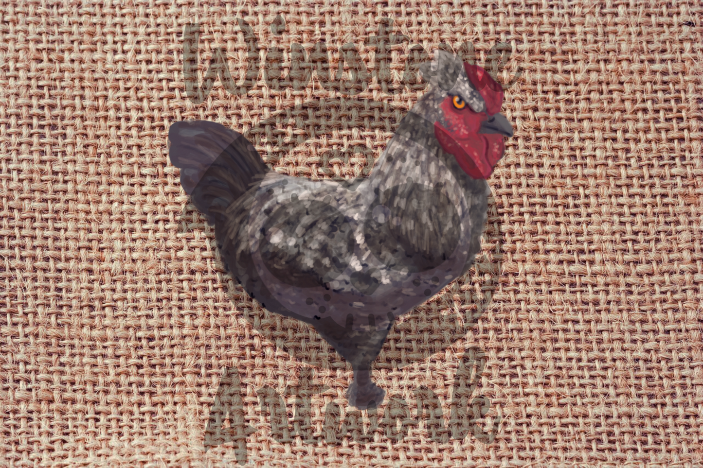 Chicken Burlap - 4x6 Postcard Print