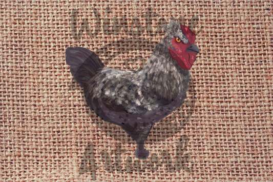 Chicken Burlap - 4x6 Postcard Print
